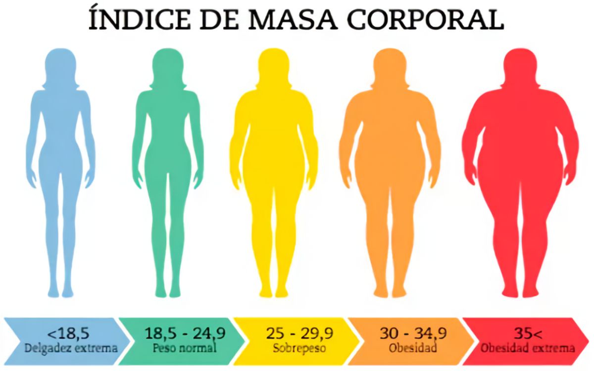 body mass index ispanyolca